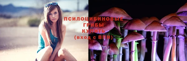 соль ск Белоозёрский