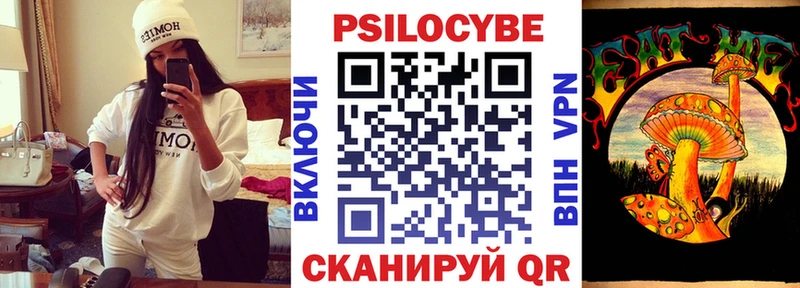 Псилоцибиновые грибы Cubensis Борисоглебск